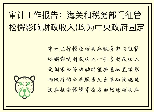 审计工作报告：海关和税务部门征管松懈影响财政收入(均为中央政府固定收入)
